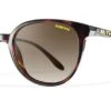 Smith Optics Archive Cheetah Sunglasses Tortoise Carbonic Polarized Brown Gradient